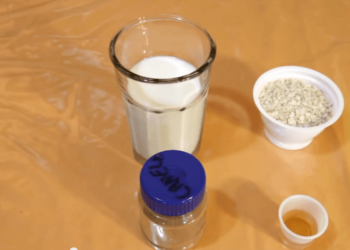 Desayuno Saludable de Avena | Casayfamiliatv