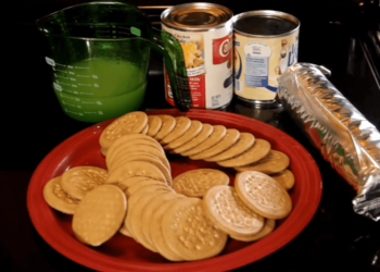 Delicioso Postre con Galletas Marias, Casayfamiliatv