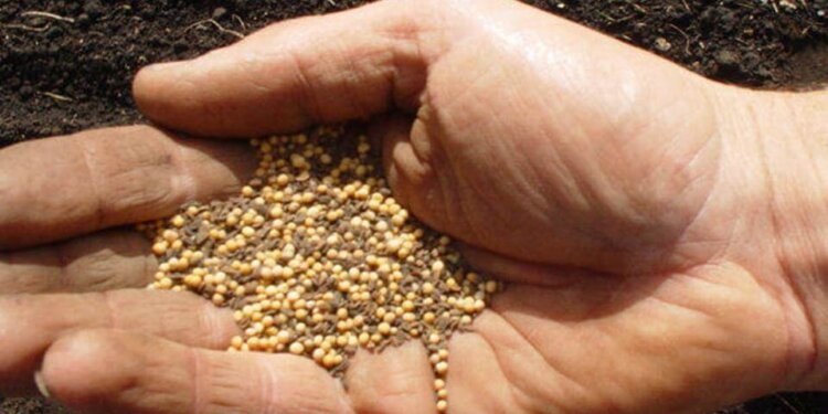 La crisis es la madre de todos los inventos.