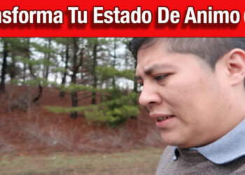 Como Levantar Tu Estado De Animo