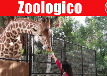 Zoológico de Naples, Florida / Ultimo dia / Vlog #11 / Casayfamiliatv