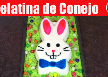 Gelatina de Conejo – Casayfamiliatv