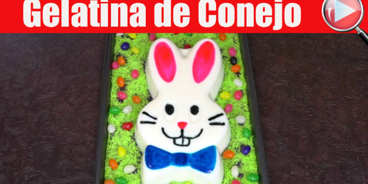 Gelatina de Conejo – Casayfamiliatv