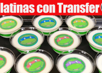 Gelatinas con Transfer Individuales – De Tortugas Ninja – Para los Niños | Casayfamiliatv
