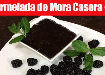 Mermelada de Mora Casera