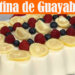 Gelatina de Yogurt de Guayaba y Tres Leches - Recetas en Casayfamiliatv Gelatina de Yogurt de Guayaba y Tres Leches