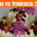Gelatina en Tendencia 2018 de Números - Recetas en Casayfamiliatv - Recetas en Casayfamiliatv Gelatina en Tendencia 2018 de Números – Recetas en Casayfamiliatv