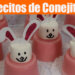Gelatinas de Malvaviscos o Bombones - Postrecitos de Conejitas - Recetas en Casayfamiliatv - Recetas en Casayfamiliatv Gelatinas de Malvaviscos o Bombones – Postrecitos de Conejitas – Recetas en Casayfamiliatv