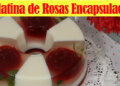Gelatina de Rosas Encapsuladas para las Mamás – Recetas en Casayfamiliatv