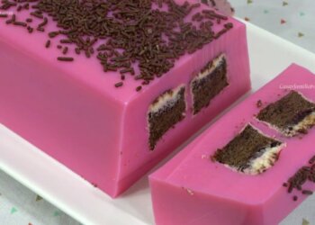 Gelatina Gansito de Fresa Gigante – Recetas en Casayfamiliatv