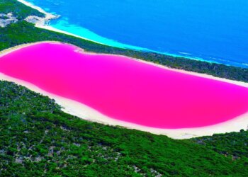 Conoce estos 8 Lugares en los que nunca debes nadar.