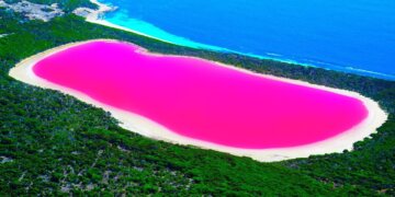 Conoce estos 8 Lugares en los que nunca debes nadar.