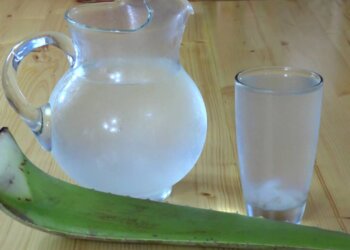 Propiedades de Agua de Sábila: Beneficios Sorprendentes para tu Salud y Belleza | Recetas en Casayfamiliatv