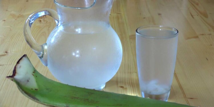 Propiedades de Agua de Sábila: Beneficios Sorprendentes para tu Salud y Belleza | Recetas en Casayfamiliatv